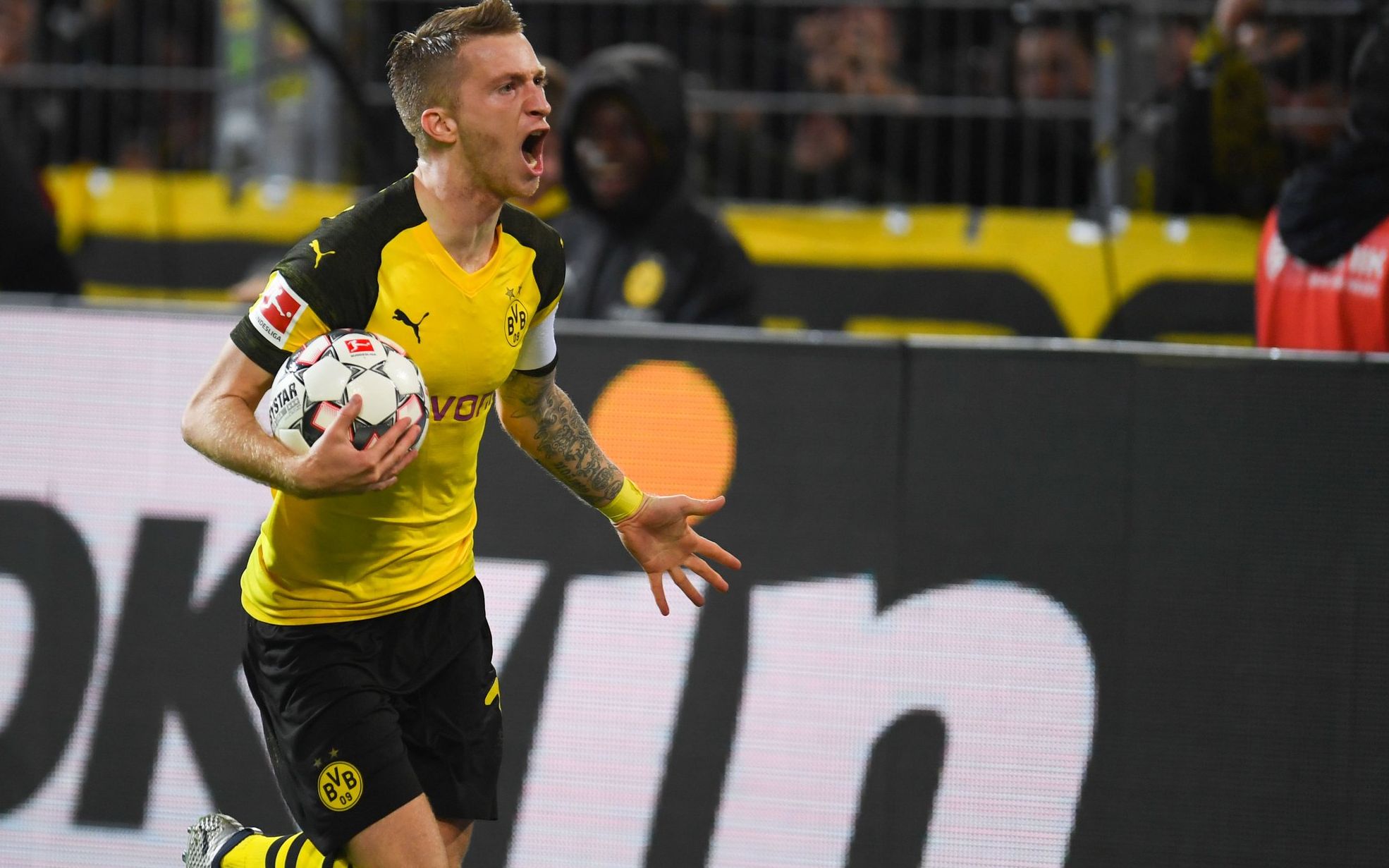 动物油精炼设备